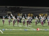 Chaffey2011w-009