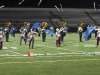 Chaffey2011w-011